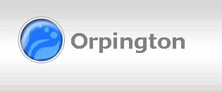 Orpington