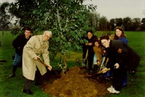 Planting in the park