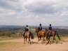 Clent Hills Country Park,